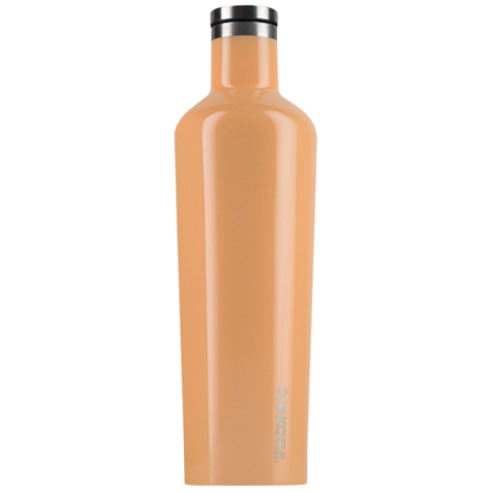 Corkcicle 25oz Canteen  Size 25 OZ, Caribbean Green