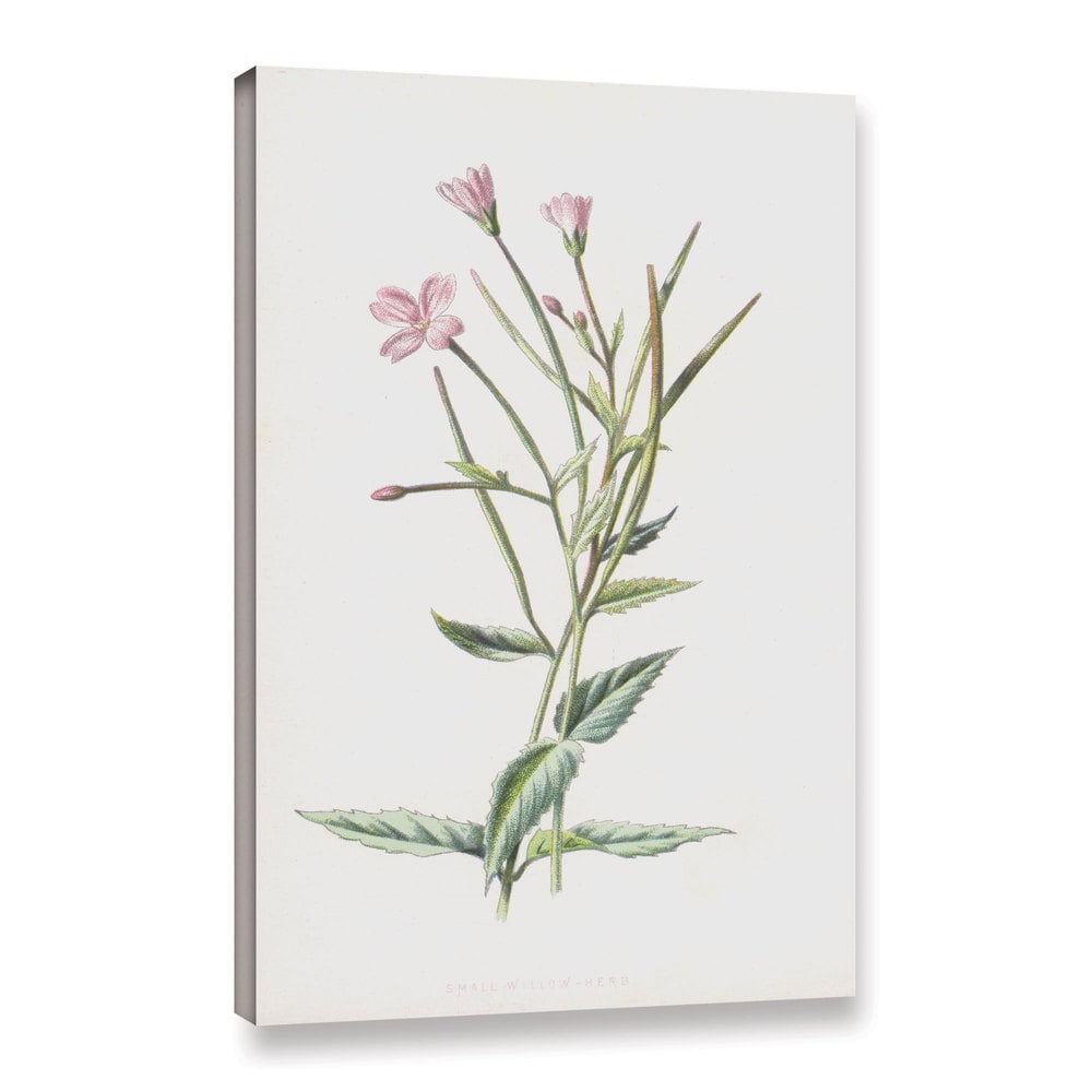 Frederick Edward Hulme 'Small Willow Herb' Gallery-wrapped Canvas Art