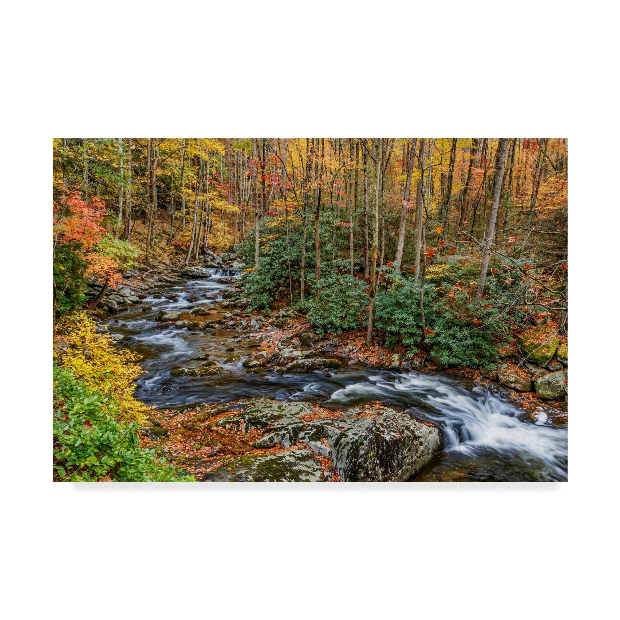 Galloimages Online 'Tremont Stream' Canvas Art - Multi-color