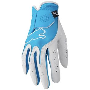 Puma Women\'s Monoline Performance Glove 6007245-Blue  Size md Right, blue