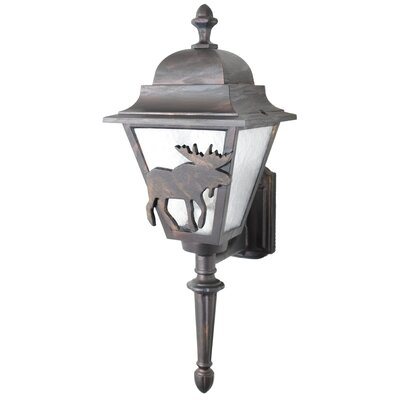 Penfield 1-Light Outdoor Sconce Alcott Hill Finish: Rusty Nail