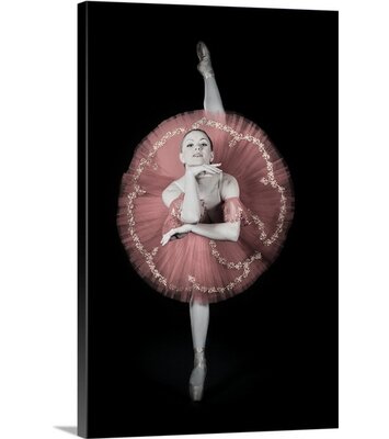 On Pointe by Darlene Hewson Photographic Print on Canvas Canvas On Demand Size: 48