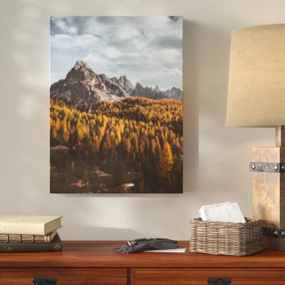 'Wooden Things (49)' Photographic Print on Canvas Millwood Pines Size: 36