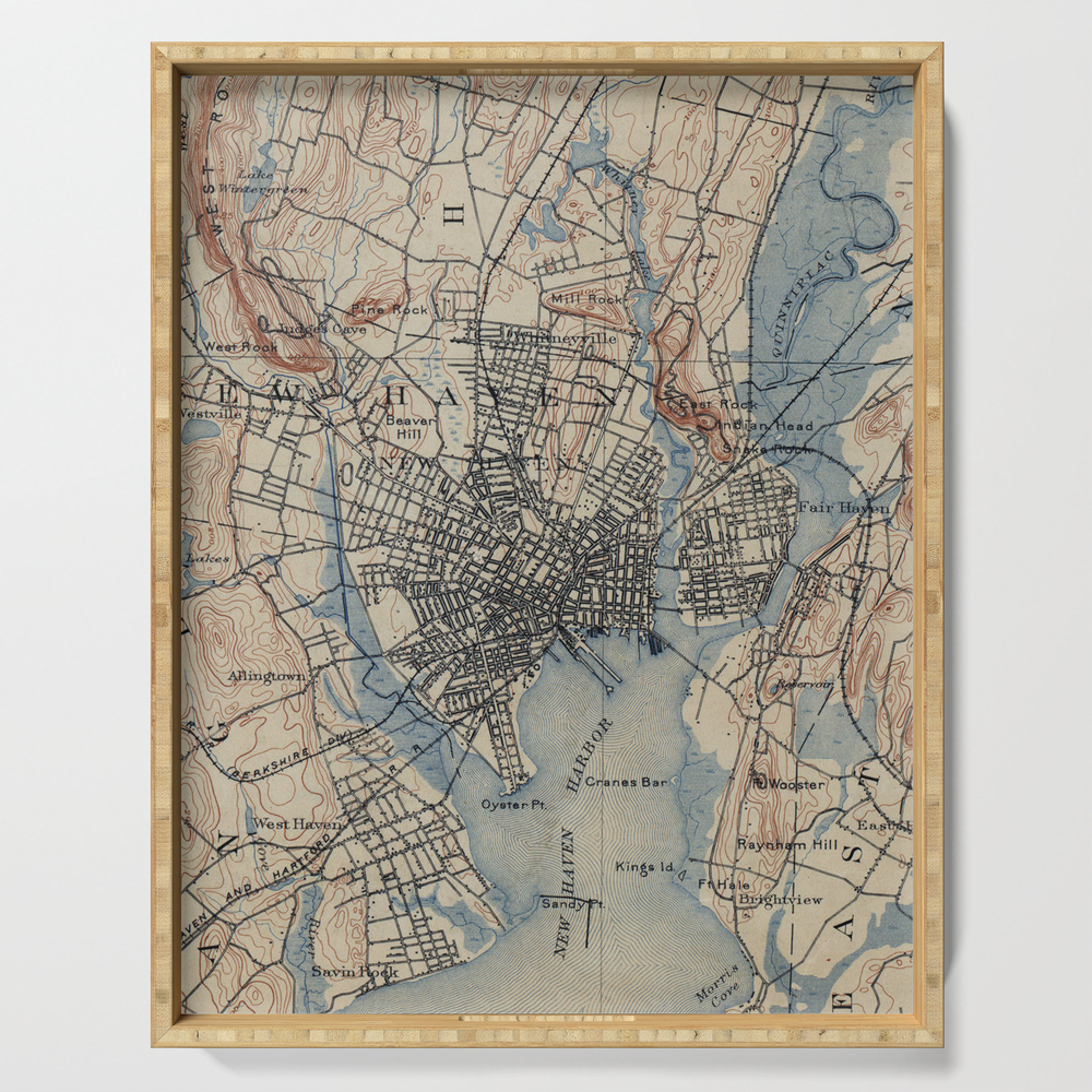 Vintage Map of New Haven Connecticut (1890) Serving Tray by bravuramedia