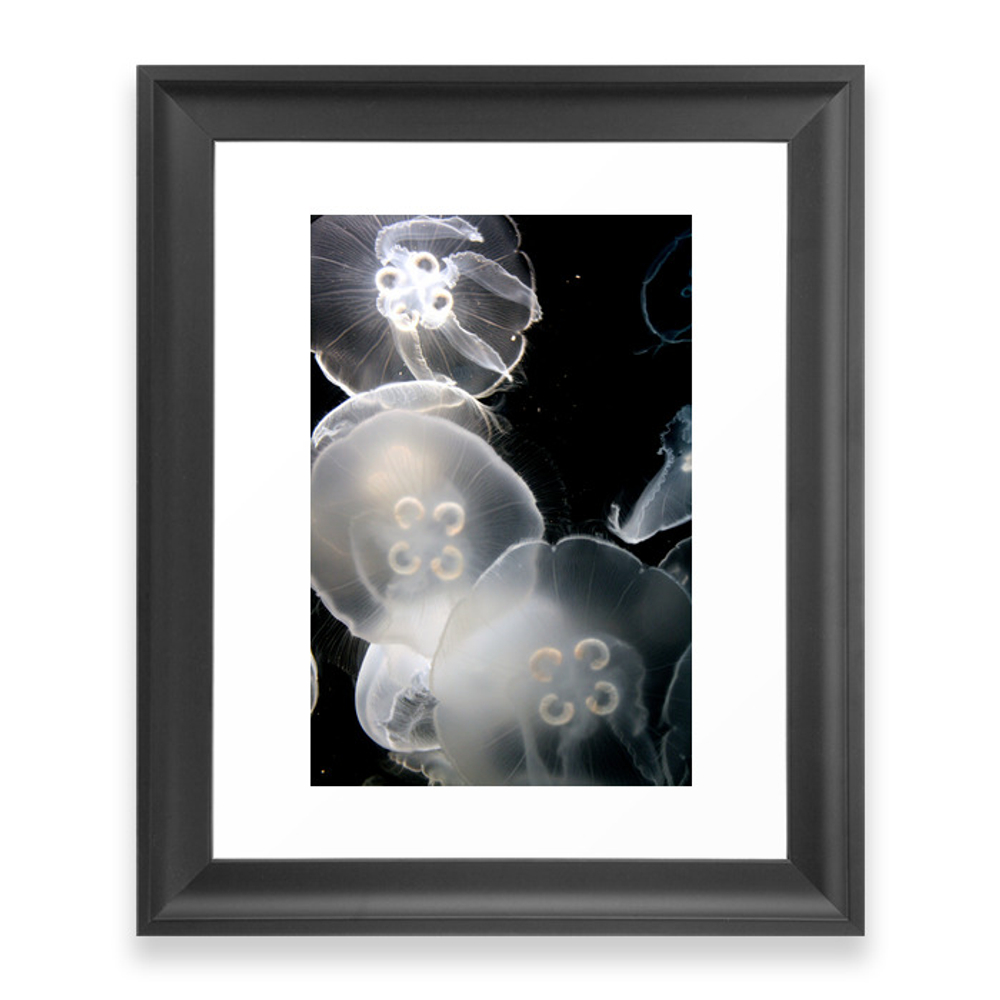 Jellies Framed Art Print by alatz