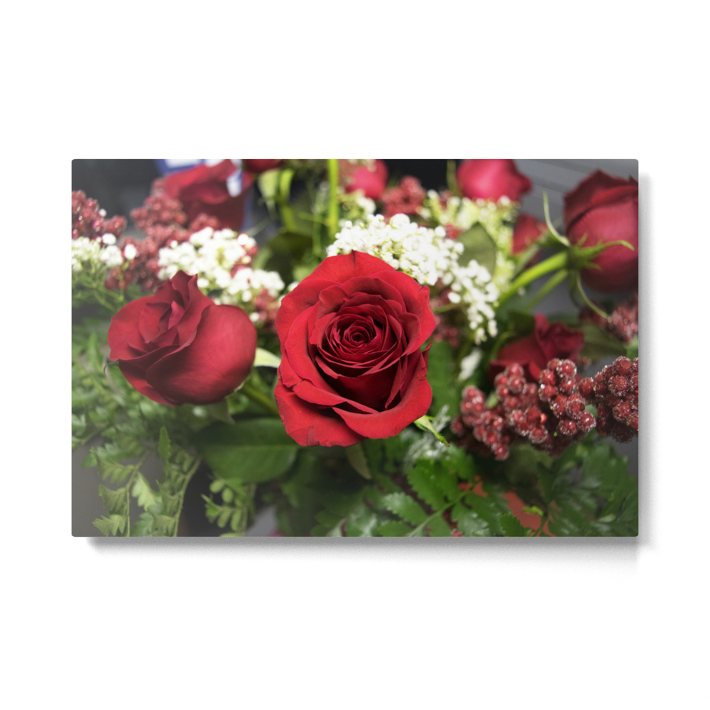 Valentine's Day Roses 1 Metal Print by sarahshanely