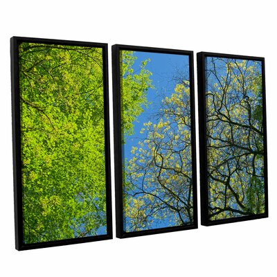 Spring Splendor - 3 Piece Floater Frame Print Set on Canvas Red Barrel Studio® Size: 24