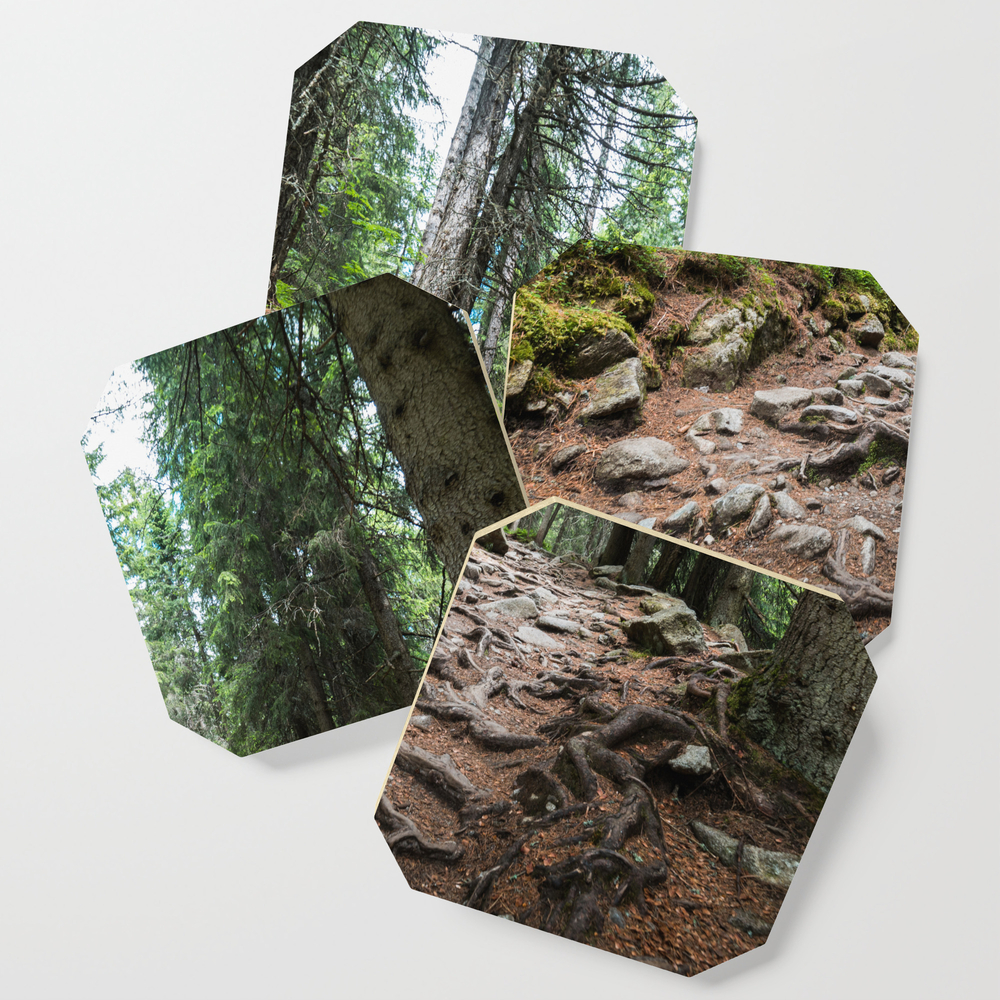 Woods Pathway Forest Trail Coasters by champ-111