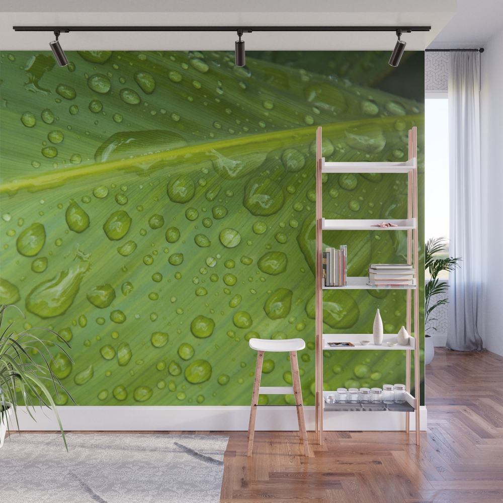 Dew Wall Mural by igordron